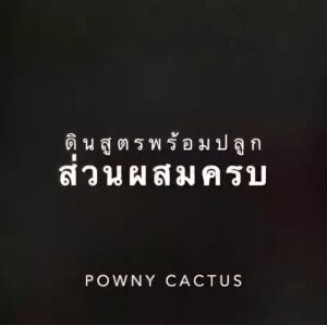 ดินสมุนไพร ดินอารมณ์ดี ดินอารมดี ดินพร้อมปลูก ดินปลูกสมุนไพร ปลอดสารเคมี ดินออแกร์นิค