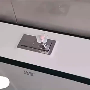 HeartShapeToiletFlushButton | 爱心造型马桶冲水按钮 | BathroomHeartFlushButton