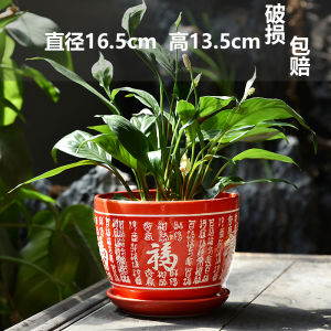 Large Size Ceramic Flower Pot with Tray Special Large Size Lucky Character Creative Green Ivy Flower Pot Chinese Style Red