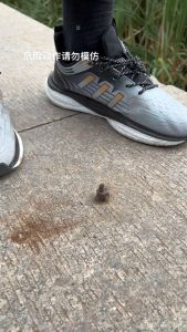 Bộ đục và đột sắt 6 chi tiết thép CR-V