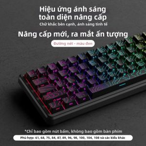 EWEADN | Phím Mềm Dây Chuyền PBT Trong Suốt Dán Chữ Bên Cạnh Có Thể Tùy Chỉnh