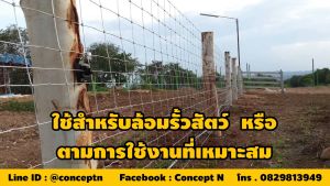 TAKA ลวดตาข่าย ลวดตาข่ายชุบ PVC ที่กั้นรอบล้อมรั้ว ขนาดตา 4 หุน 6 หุน 1 นิ้ว (ยกม้วน) รับประกัน 7 วัน สินค้ามาตรฐาน Concept N