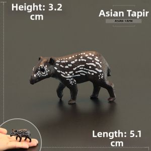 MENGSILE | Solid Realistic Childrens Educational Toy Animal Model