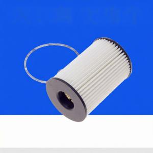 HUARUIYUAN | BMW X5 E70 X6 E71 E72 Specific OEM Oil Filter