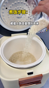 SG【ReadyStock】Zemkon Electric Rice Cooker FamilyPotSize SteamEffortless KeepWarmHold SimpleWash FirstApartment