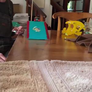 Mini Parrot Training Skateboard Creative Parrot Balance Toy for Small Medium Birds Interactive  Intelligence Training Toy
