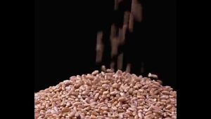 ซอสถั่วเหลือง410 ml厨邦酱油 รสชาติถั่วเหลืองเข้มข้น รสชาติกลมกล่อม รสชาติปานกลางรสหวานและเค็ม