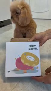 2 IN 1 Donut Four-legged Detachable Bowl Elevated Food Bowl Plastic Pet Feeder Water and Food Bowl