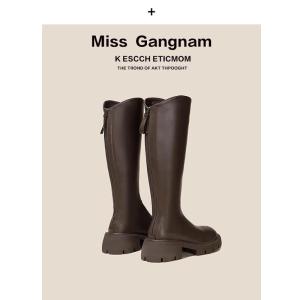 plus Size Womens Brown Knight Boots V-Notch Long Boot Thick Heel High Tube Boot Chain Element Casual Boot Autumn Spring Season