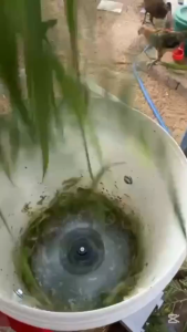 DIYใบมีดสแตนเลสสำหรับเครื่องสับย่อยอาหารสัตว์ 【iukoi -77】