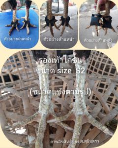 🩴รองเท้าสำหรับไก่ชนและทุกสายพันธุ์ไก่ ไซส์  S2 ไซส์สำหรับไก่หนุ่มถึงพ่อพันธุ์  ใช้วัสดุที่เหนียว และทนทาน  ใช้ได้นาน คุ้มค่าคุ้มราคา