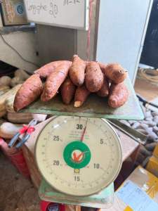 Khoai Lang Mật Đà Lạt Tà Nùng 1kg - Giao Toàn Quốc và 2H tại TpHCM