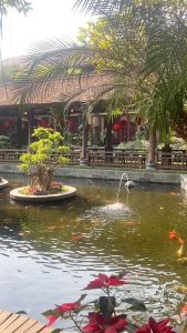 Sách - Combo 2c Sách Tô Màu Tết và Lễ Hội Truyền Thống Việt Nam + Thị Trấn Nhỏ Hạnh Phúc (bìa có nhũ)