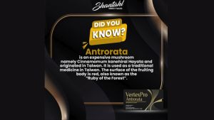 VERTEXPRO ANTRORATA Softgel Capsule (1000mgx10): Natural Support for Hepatitis & Cancer