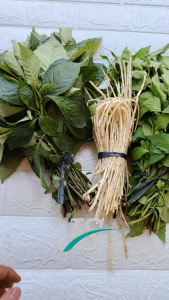 Paket Komplit / Daun Keji Beling / Daun Kumis Kucing / Akar Alang Alang / Kondisi Sega
