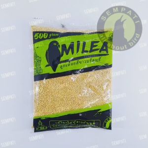 SEMPATI FREE GANTUNGAN BUAH Milea Sempati Free Cepuk Tabung Milet Putih Pakan Burung Lovebird Love Bird Kenari Parkit Makanan Harian Biji Millet Miltih 500 Gram Grade A MLEAS