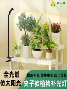 Indoor Plant Growth Light Supplemental Full Spectrum LED Cactus Rose Sunlight Simulation Clamp on Home Use Growing Lamp