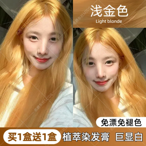 Light Golden Hair Dye Cream No Bleaching Yellow Color Plant-Based New Style Light Brown Linen Pure Hair Coloring Agent