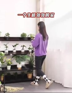 ชั้นวางต้นไม้ ขาตั้งวางต้นไม้ ชั้นวางดอกไม้ ชั้นวางของตกแต่ง ปลูกต้นไม้ ต้นไม้ ชั้นวางกระถางต้นไม้ ตกแต่งสวน ตกแต่งบ้าน 8 ชั้น 10 ชั้น ว