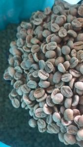 บราซิล ซานโตส เกรด ถูกที่สุด สารกาแฟดิบ ส่งฟรี !! สมบูรณ์ 17/18 ปริมาณ A และมีราคาถูกต้อง