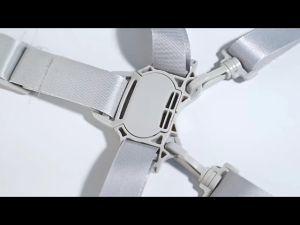 High Chair & Stroller Safety: 5 Point Harness Straps