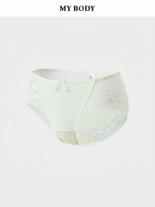 Mybody | Sheer Seamless Retro Lace Mid-waist Bikini