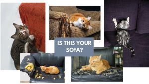 🇸🇬White Natural Sisal Cat Scratch Mat Scratching Pad Rug Anti Scratch Sofa Protector Furniture Protection Claw Grinding