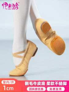 Giày Khiêu Vũ Nữ Đế Mềm Giày Khiêu Vũ Chuyên Nghiệp Giày Khiêu Vũ Ba Lê Giày Khiêu Vũ Bụng Giày Khiêu Vũ Dân Tộc Giày Khiêu Vũ