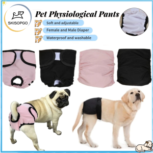 Waterproof Dog Shorts & Physiological Pants: A Comprehensive Guide