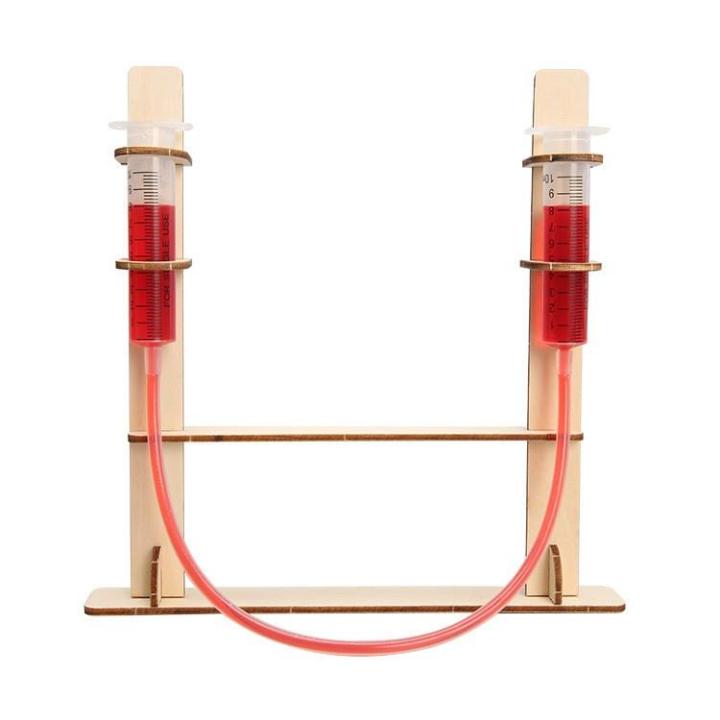 Science and Technology Small Production Learning Biological Capillary