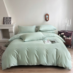 Cotton Flannel Bedding Set Queen Size Student Overseas Study Four Piece Bed Canopy Sheet Pillowcase Duvet Cover King Size