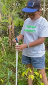 ปริงเกอร์ใบน้ำ 2 ชั้น   เหมาะสำหรับการให้น้ำพืชที่ต้องการควมคุมปริมาณน้ำ จำพวกพืชสวน และต้นกล้า
