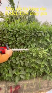 Máy cắt tỉa hàng rào RAKUTEN chạy pin trọng lượng 25kg 1 pin theo máy