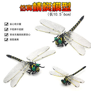 Simulation Large Dragonfly Model Toy Insect Specimen Bee Nail Plastic Shellac Butterfly Childrens Cognitive Science Education