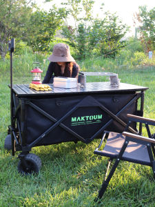 Aluminum Alloy Camping Car Outdoor Camping Gathering Type Hand Pull Trailer Picnic Push Cart Portable Shopping Cart Foldable