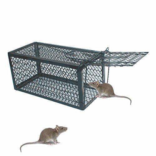 SH Rat Cage Mice Rodent Animal Control Catch Bait Mouse Trap | Lazada PH