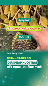 BS16 Canxi Bo Chống Rụng Thối Trái Non Nuôi Trái To Hấp Thu Nhanh - Bác Sĩ Cây Xanh