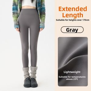 High Waisted Trousers for Women