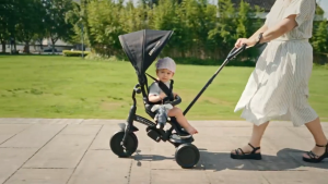 QPlay Elite Platinum 6 In 1 Kids Tricycle With Rotating Seat 10-72 Months