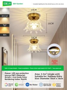DGY | Modern Simple Passage Entrance Light