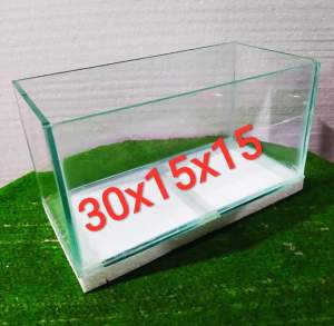 aquarium ikan chana dan hias 30x15x15 aquarium termurah aquarium mini aquarium Guppy aquarium cupang aquarium ikan cupang aquarium kaca soliter cupang soliter cupang soliter kaca aquarium chana aquarium termurah