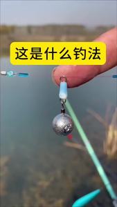 15 Chiếc Drop Shot Sinkers Kit 3.5G-20G Ống Hình Trụ Plumb Mặt Dây Kim Loại Jig Biển Giải Quyết Phụ Kiện Câu Cá