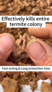 1 bottle = 5 bottles of 500ml termites killer spray Japans new upgraded super concentrated anay killer spray 10% Permethrin termite killer Kill the whole nest safe and efficient Termites killer spray wood Termites killer spray japan