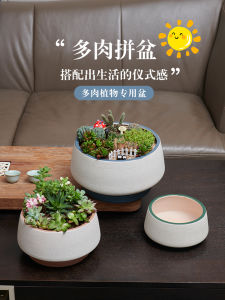 Bình Hoa Ceramic Lớn Miệng Rộng Có Đĩa Đựng Hoa Cỏ Thịt Bề Mặt Đơn Giản Đĩa Đựng Hoa Cỏ Thịt Lớn Có Đế Bề Mặt Đơn Giản