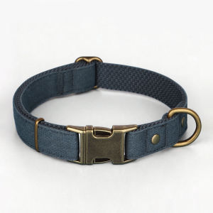 JINLINGJIE | Engraving Dog Collar for Walking