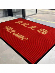 MOLORE | Non-slip Welcome Door Mat