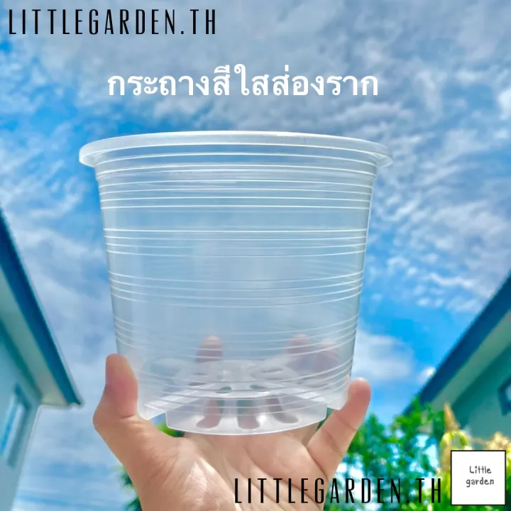 กระถางใสมองเห็นรากพร้อมจานรองใสพิเศษ