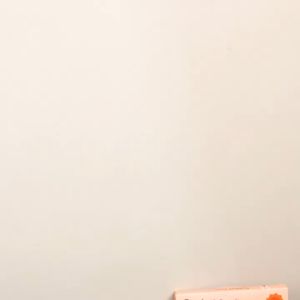 เกมส์จับไดโนเสาร์ Dinosaur Catcher Game เกมส์ฝึกสมอง เสริมทักษะ