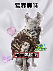 Freeze Dried Chicken Cat Treats