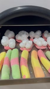 Freeze Dried Candy - Gummy Worms - 30Grams & 50 Grams Per Pack - Crunchy Bites PH